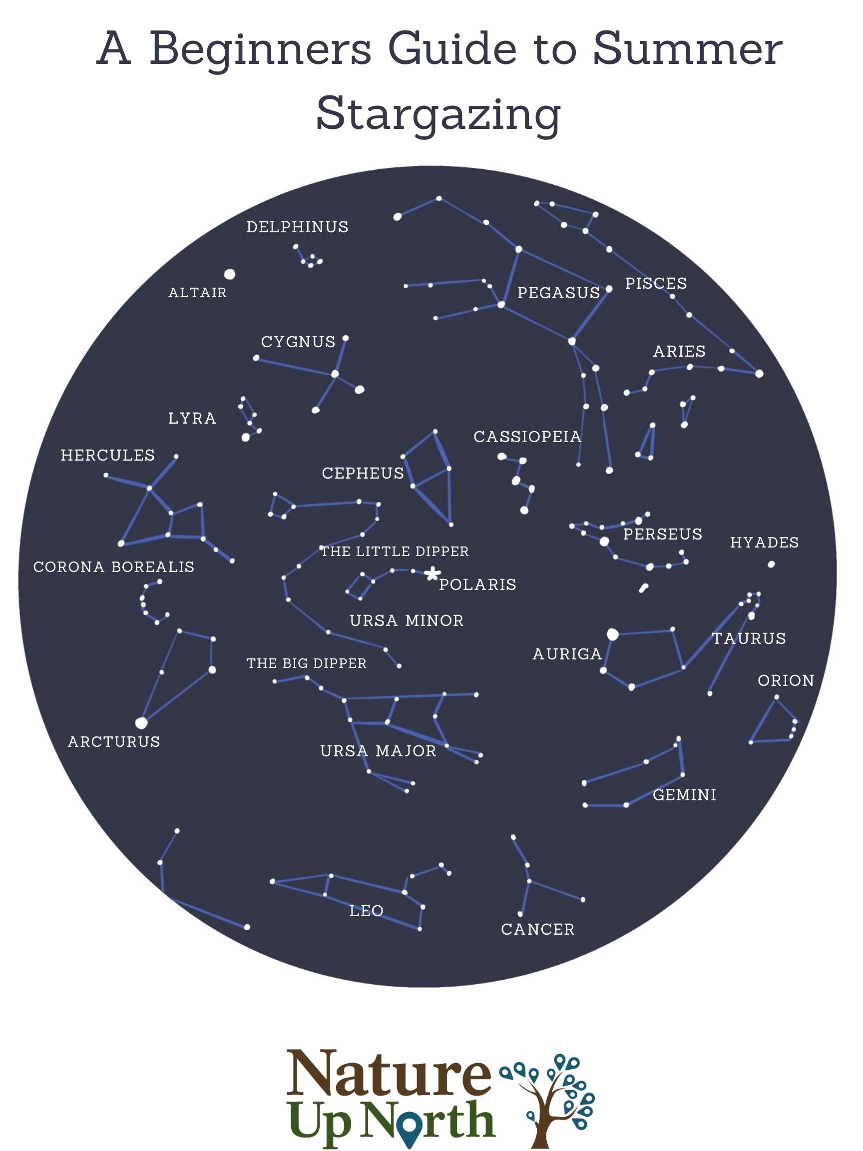 A Beginner's Guide to Summer Stargazing Nature Up North